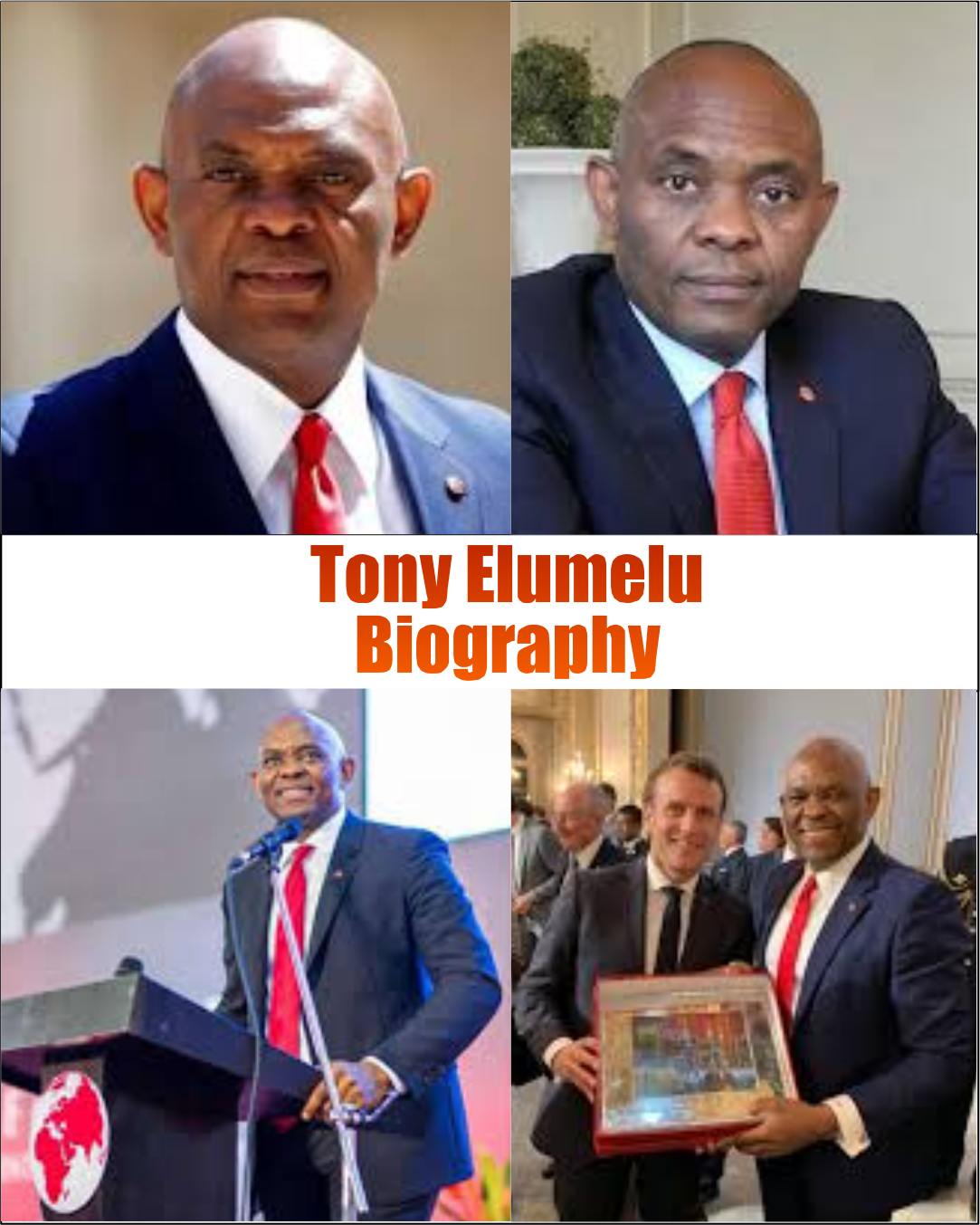 Tony Elumelu Biography