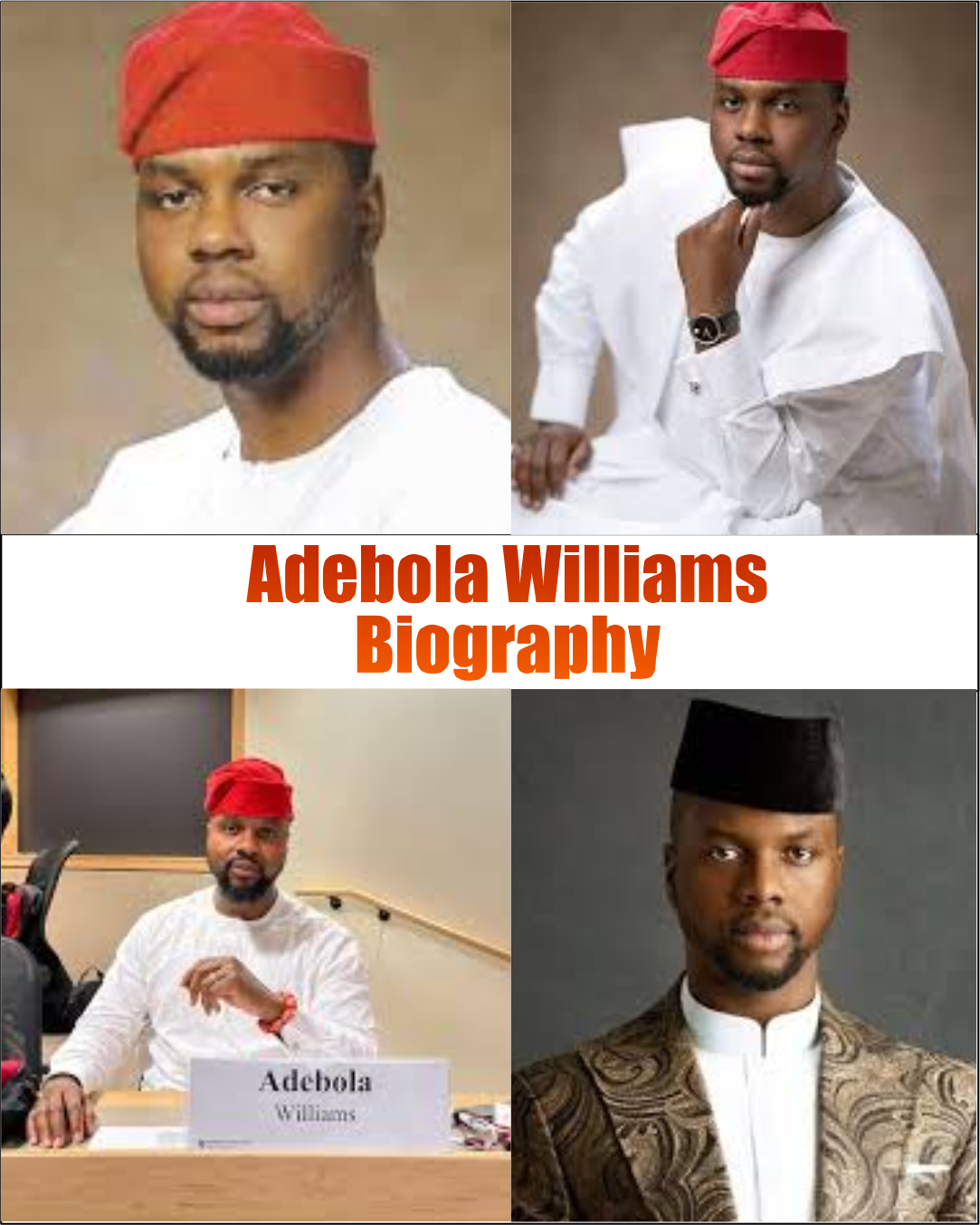 Adebola Williams Biography