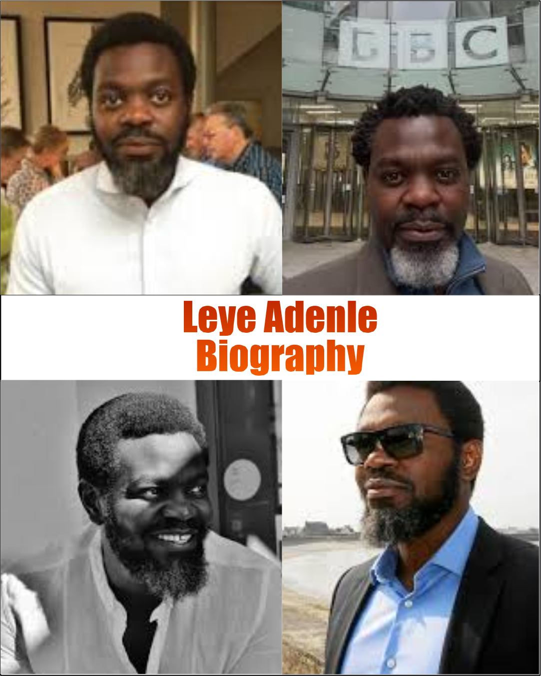Leye Adenle Biography